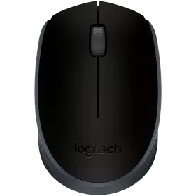 Миша LOGITECH M171 Wireless Black/Grey (L910-004424) — Зображення №1