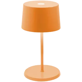 ZAFFERANO OLIVIA PRO MINI TABLE LAMP 110x220mm. MATT ORANGE 2.2W LED 144/155 lm. — Image №1
