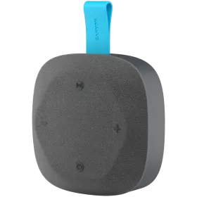 CANYON CNE-CBTSP10 Портативная колонка Gray/Blue — Изображение №1