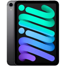 iPad mini 6, 256 ГБ Wi-Fi+Celular 2021, Space Gray — Изображение №1