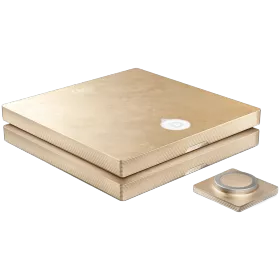 DEVIALET Astra Dual Audio System Алтын — image №1