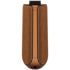 BANG & OLUFSEN Beolab 50 Audio System Bronze — Image №1