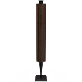 BANG & OLUFSEN Beolab 18 AV System Black Anthracite — Image №1
