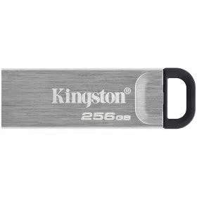 Memory USB flash KINGSTON KYSON 256 GB — Image №1