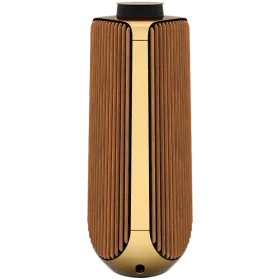 BANG & OLUFSEN Beolab 50 Audio System Brass — Image №1