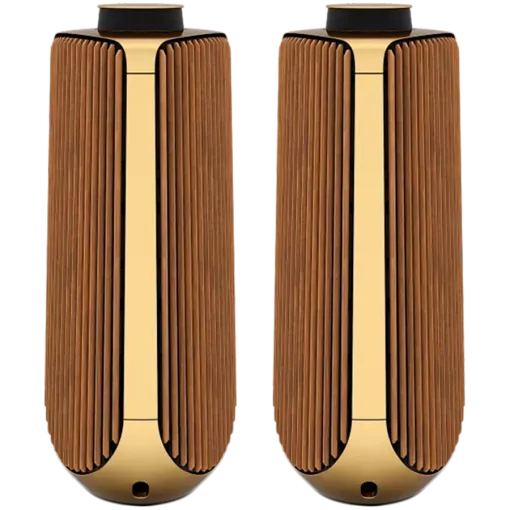 BANG & OLUFSEN Beolab 50 Audio System Brass — Image №1