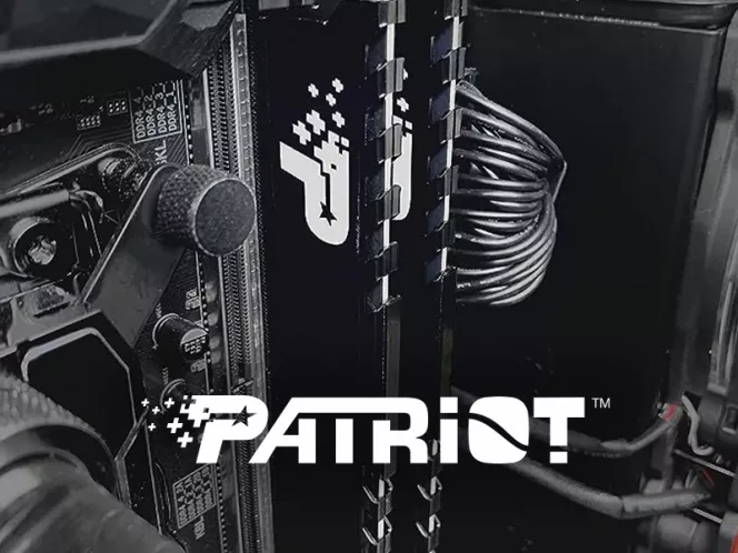 Buy Patriot in ASBIS B2B Shop