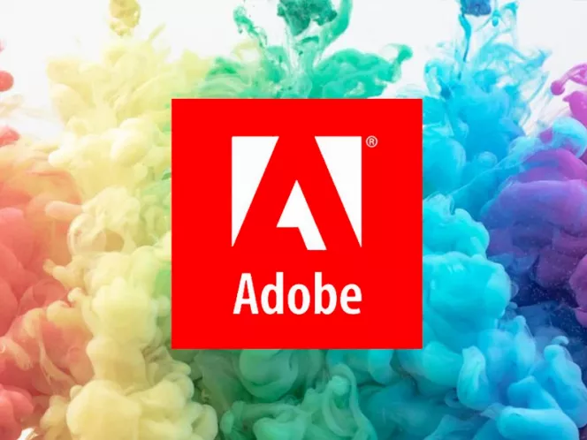 Adobe distributor