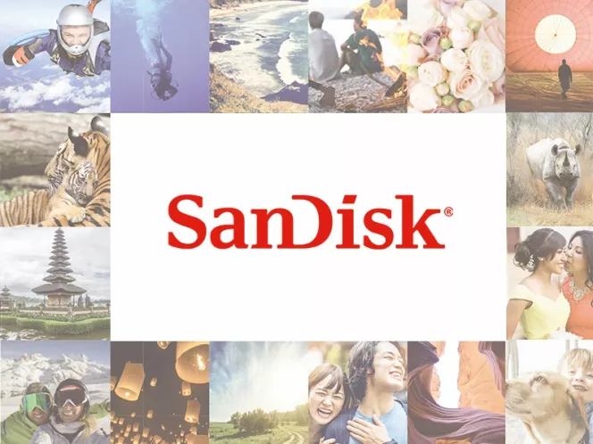 Buy SSD and Memory Cards SanDisk in B2B shop