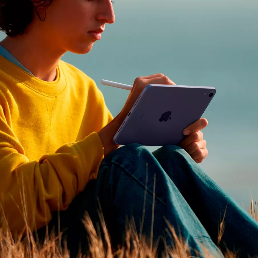 iPad mini 6, 256 GB, Wi-Fi+4G, Pink — Изображение №4