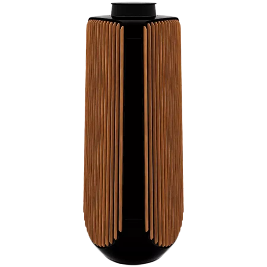 BANG & OLUFSEN Beolab 50 Σύστημα ήχου Piano Black — Εικών №1