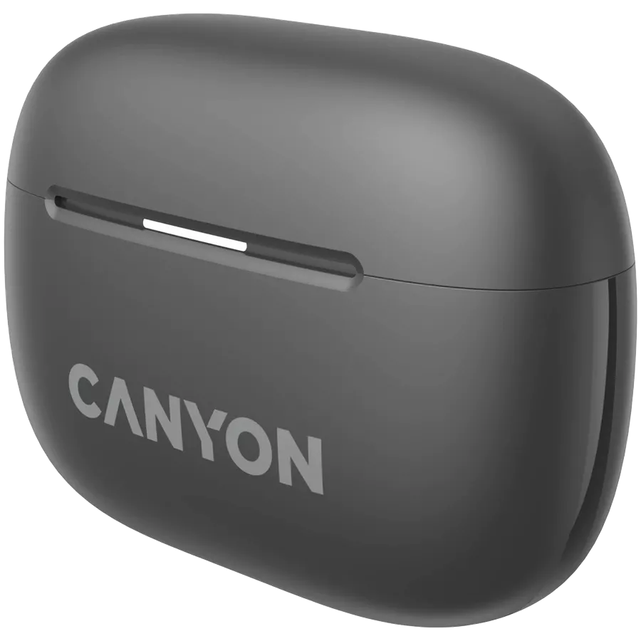 Наушники CANYON TWS-10 OnGo ANC ENC Black (CNS-TWS10BK) — Изображение №6
