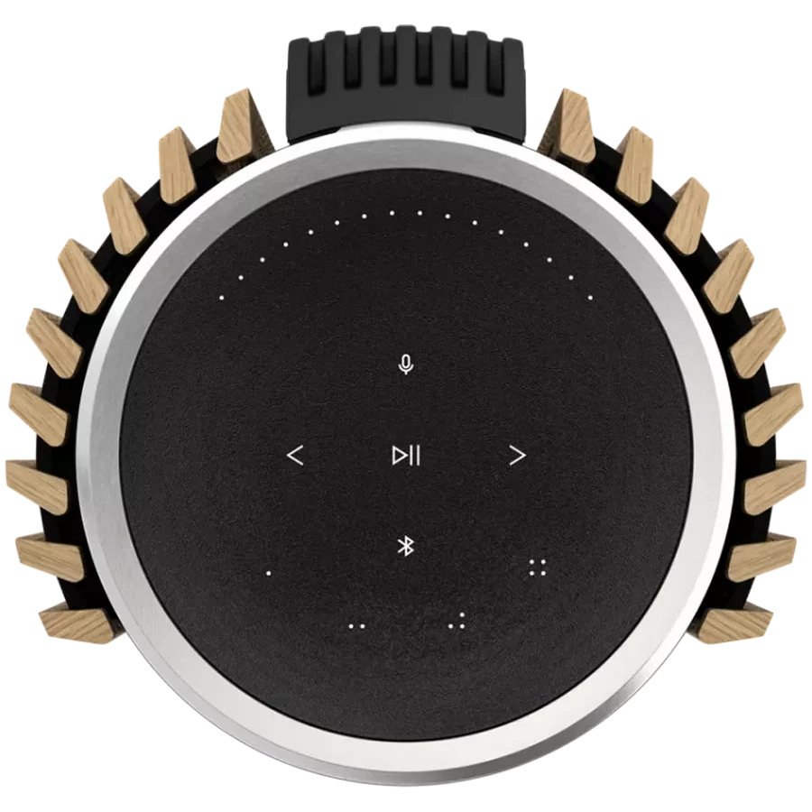 BANG & OLUFSEN Beolab 28 Σύστημα AV Ασημί/γκρι — Εικών №4