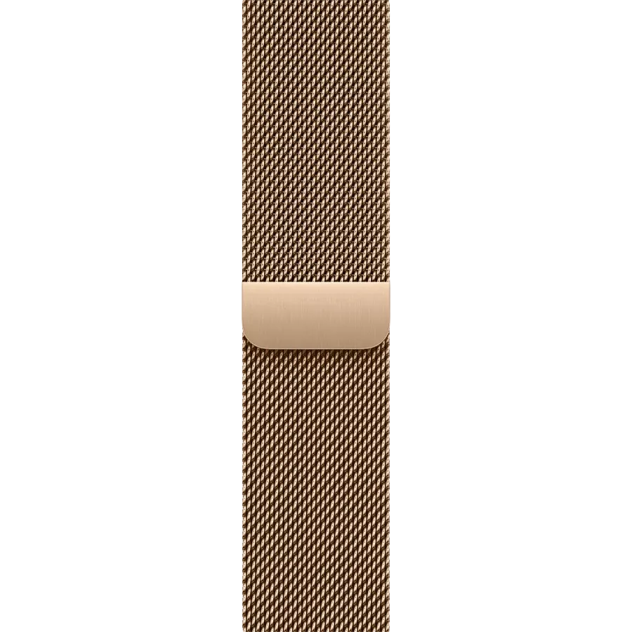 APPLE 40mm Milanese Loop Band Milanese Loop Gold for Apple Watch 40 mm — Image №1