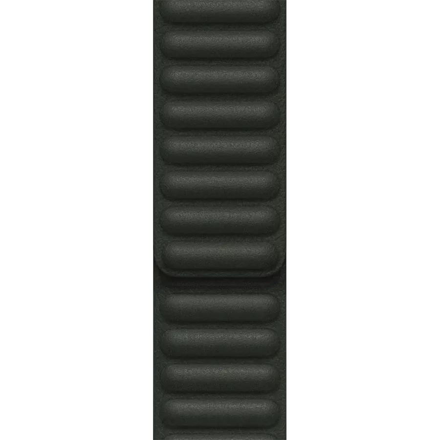 Band APPLE 41mm Leather Link - S/M Sequoia Green — Image №1