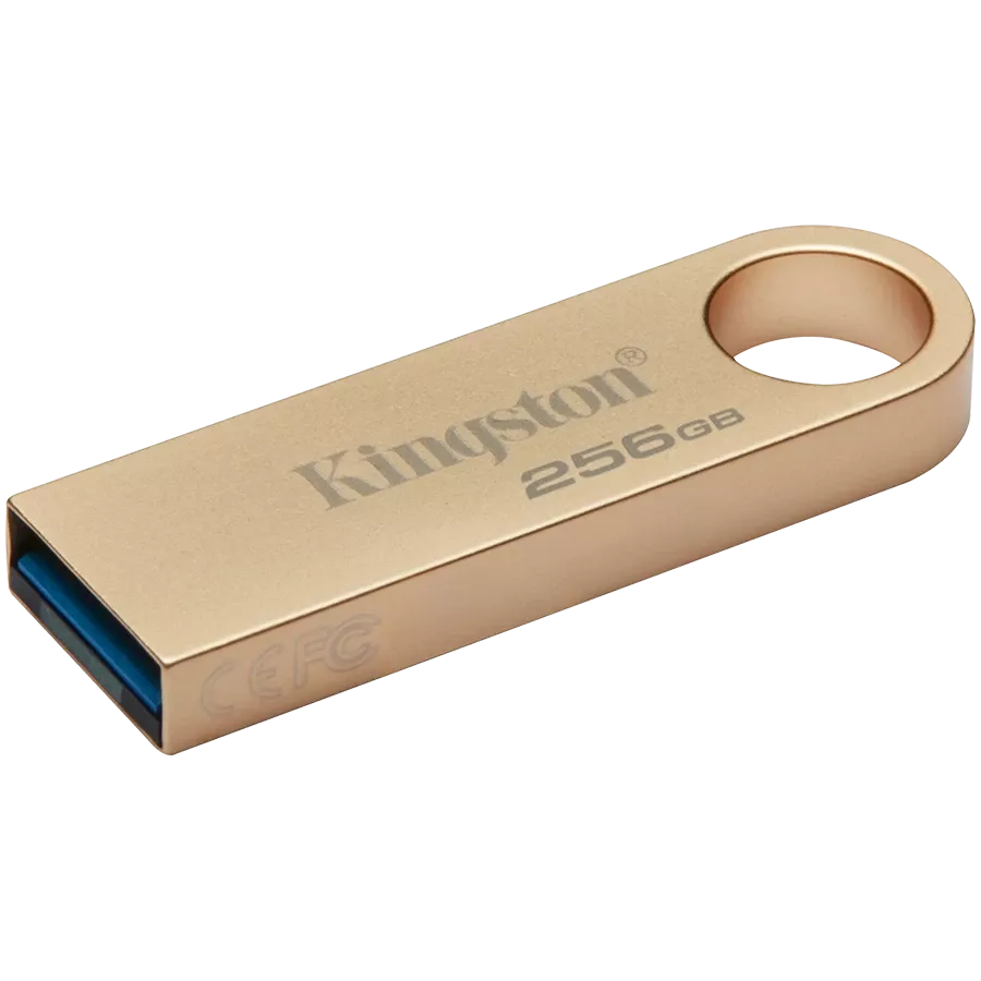Memory USB flash KINGSTON DataTraveler SE9 G3 256 GB — Image №1
