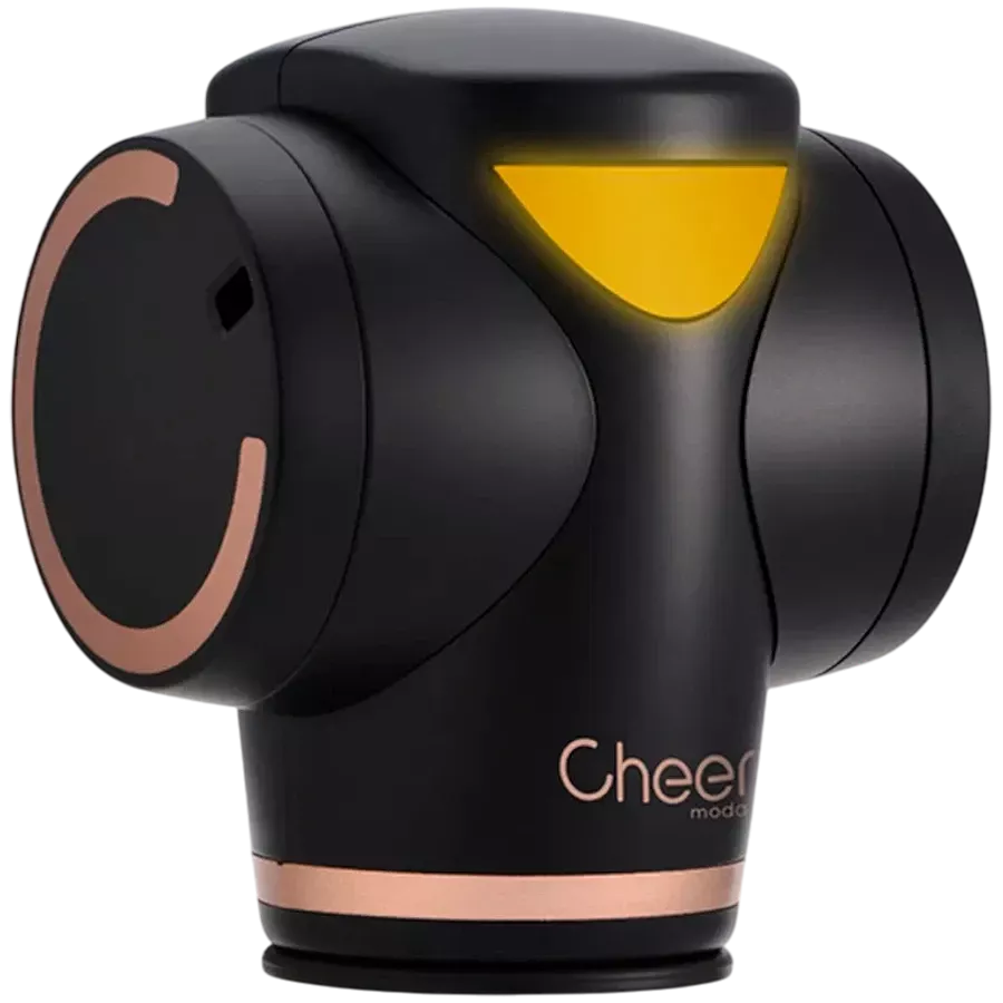 CHEER-MODA Trooper Black & Bronze DZCZK01 — Image №3