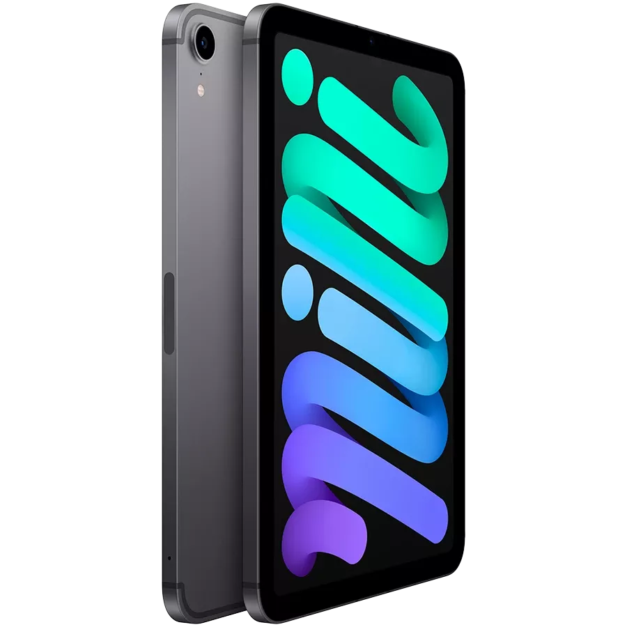 iPad mini 6, 256 GB, Wi-Fi+4G, Space Gray — Изображение №2