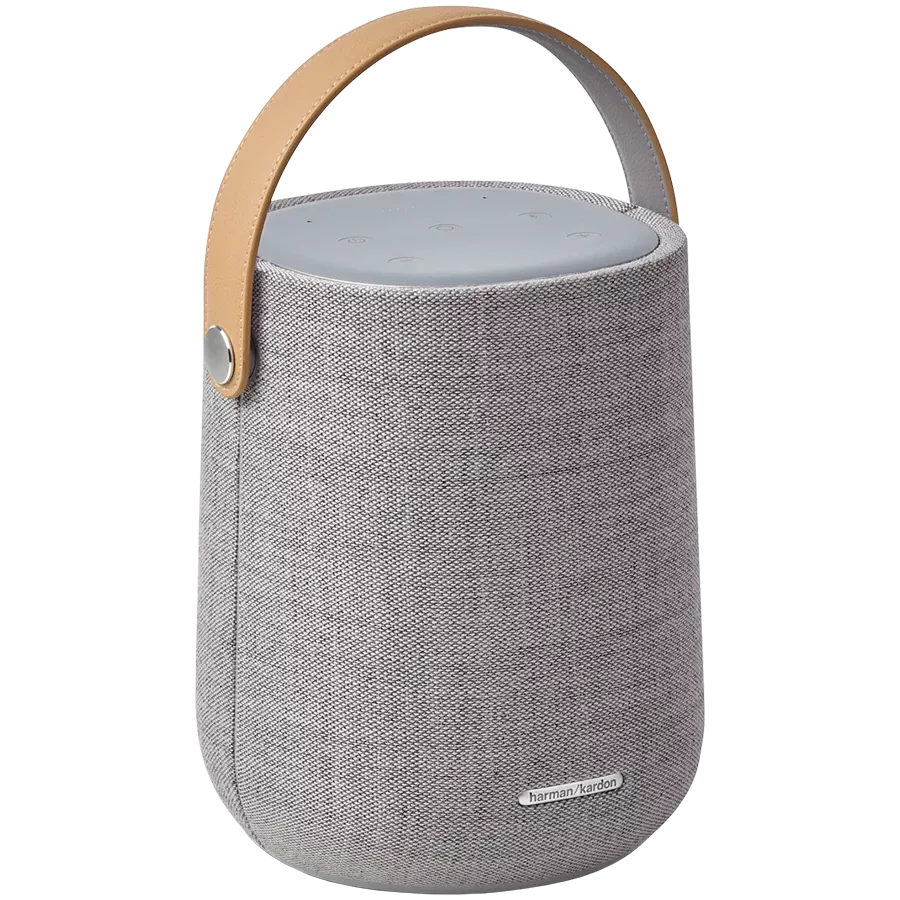 Портативная колонка HARMAN KARDON Серый — Изображение №1