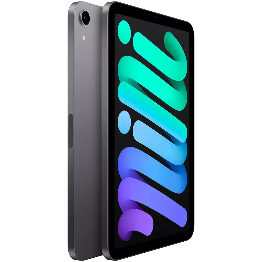 iPad mini 6, 256 GB, Wi-Fi, Space Gray — Изображение №2
