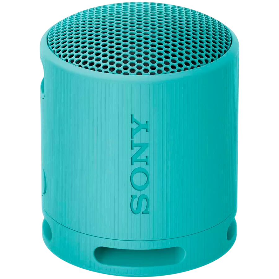SONY SRS-XB100 Portable Speaker, Blue — Image №1