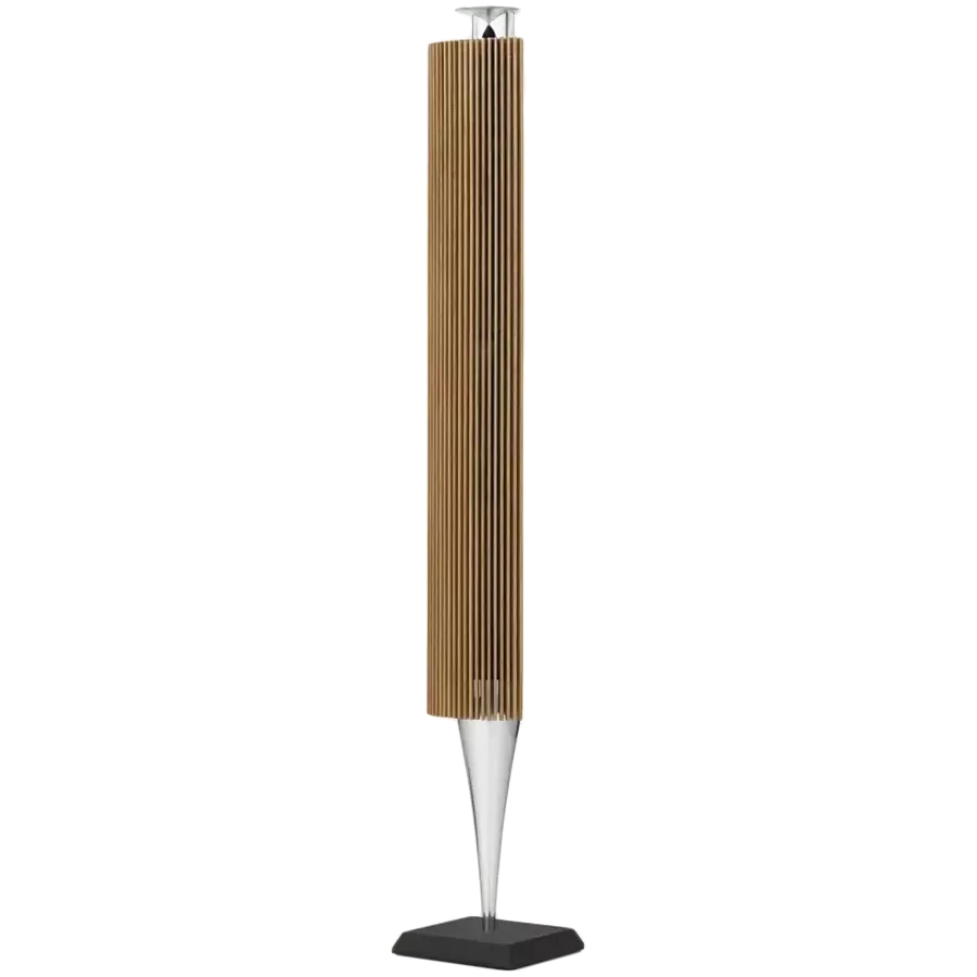 BANG & OLUFSEN Beolab 18 Σύστημα ήχου Ασημί — Εικών №2