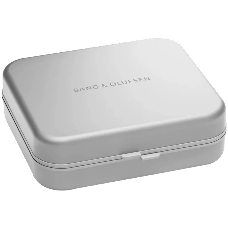 BANG & OLUFSEN Beoplay H95 Aluminium Hard Case , Γκρι ΟμίχληΔύσκολη υπόθεση — Εικών №1