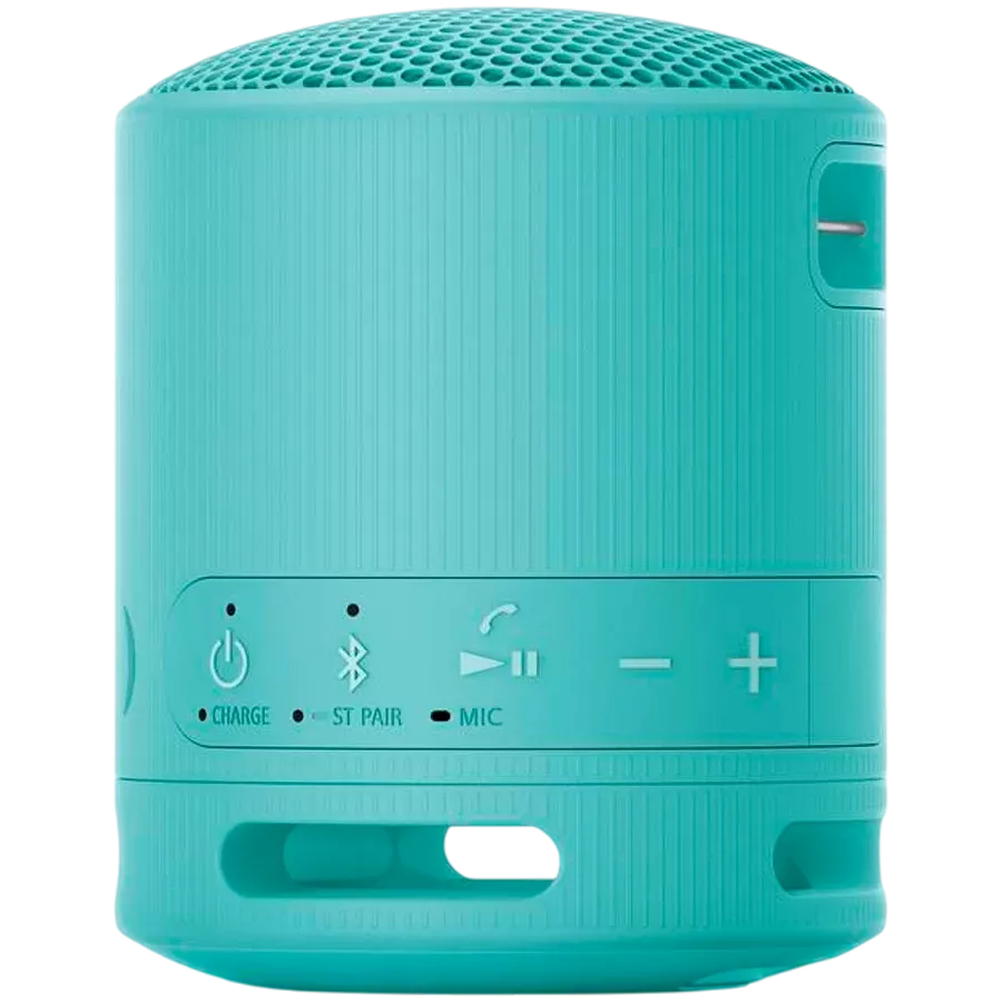 SONY SRS-XB100 Portable Speaker, Blue — Image №3