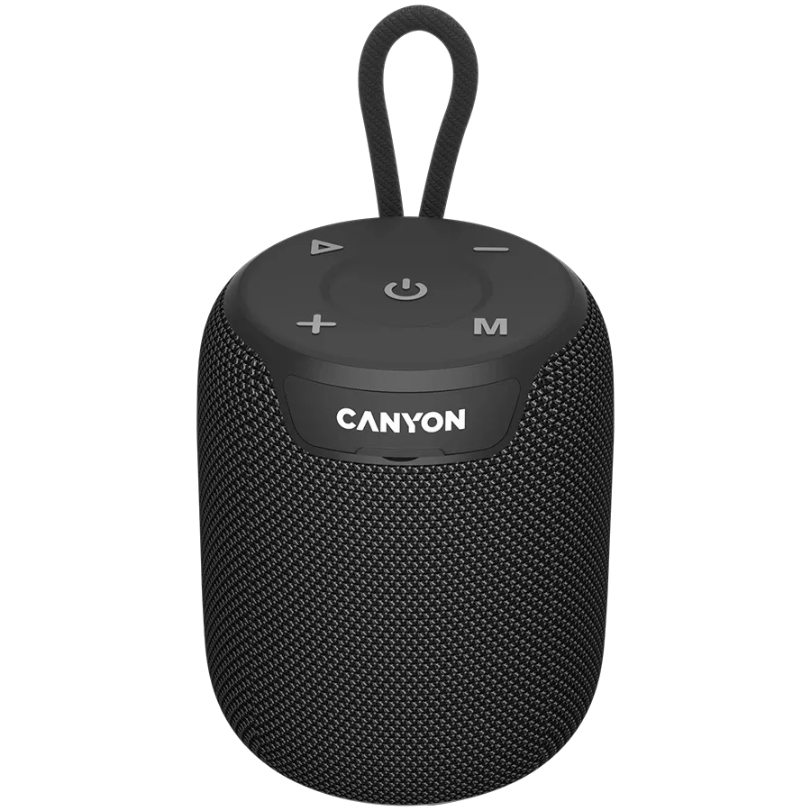 CANYON Портативна акустична система Чорний — Зображення №1