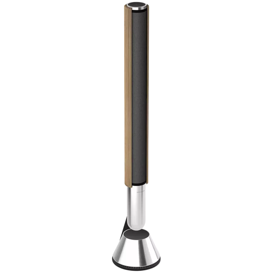 BANG & OLUFSEN Beolab 28 Σύστημα AV Ασημί/γκρι — Εικών №3