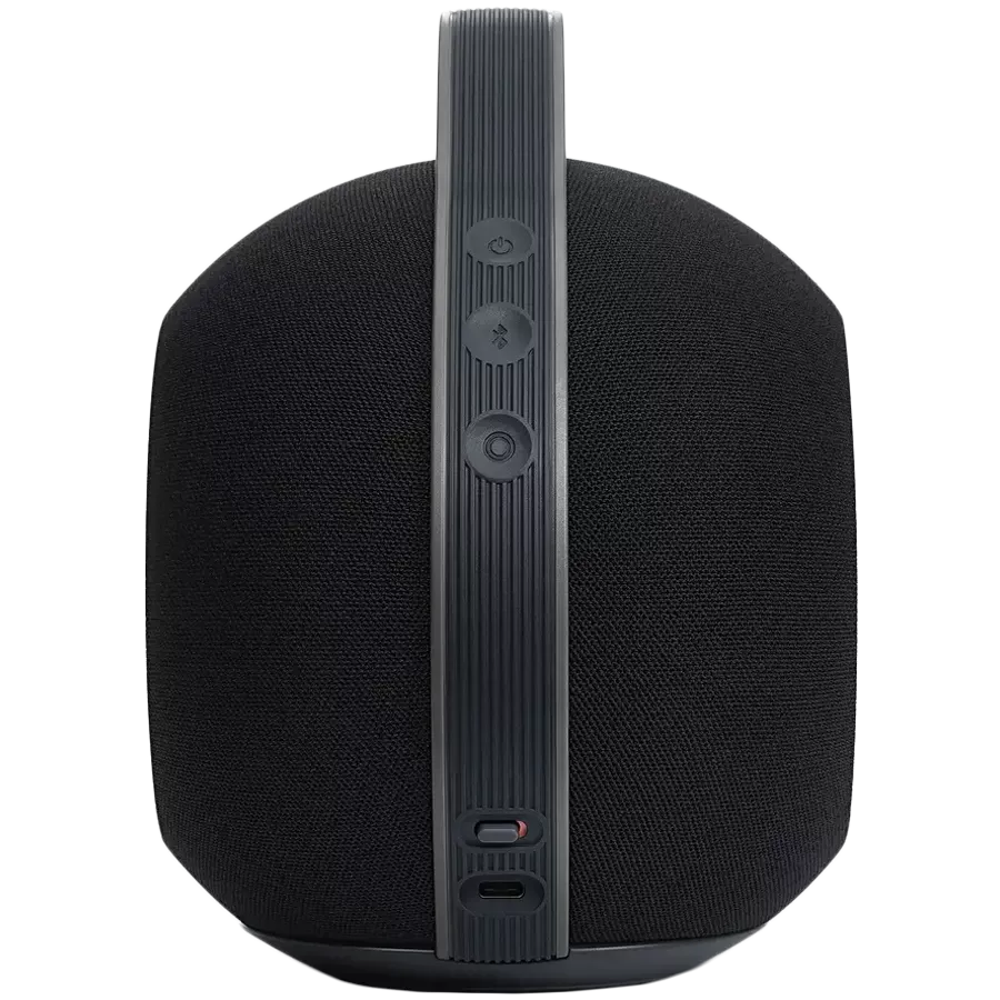 DEVIALET Портативная колонка Чёрный — image №5