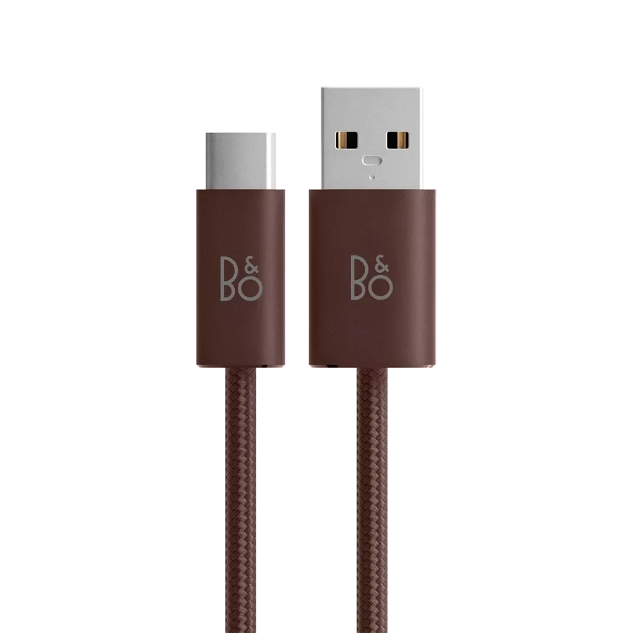 BANG & OLUFSEN , ChestnutCharging cable — Image №1