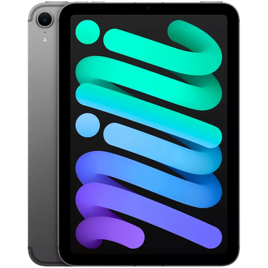 iPad mini (A17 Pro), 256 GB, Wi-Fi+4G, Space Gray — სურათი №2
