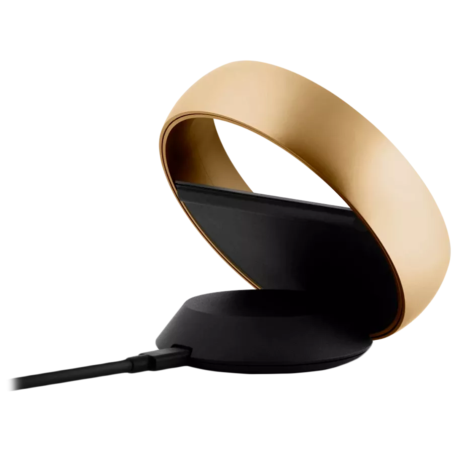Remote Control BANG & OLUFSEN Beoremote Halo Wall, Gold — image №4
