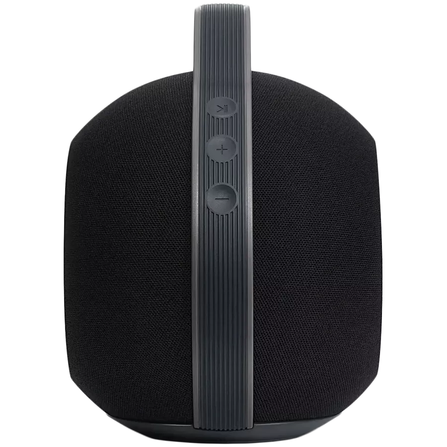 DEVIALET Портативная колонка Чёрный — image №4