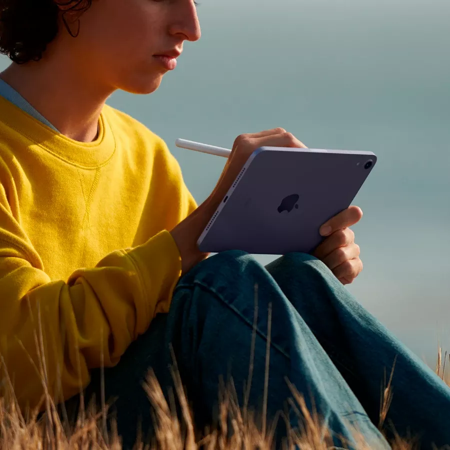 iPad mini 6, 256 GB, Wi-Fi, Space Gray — Изображение №4