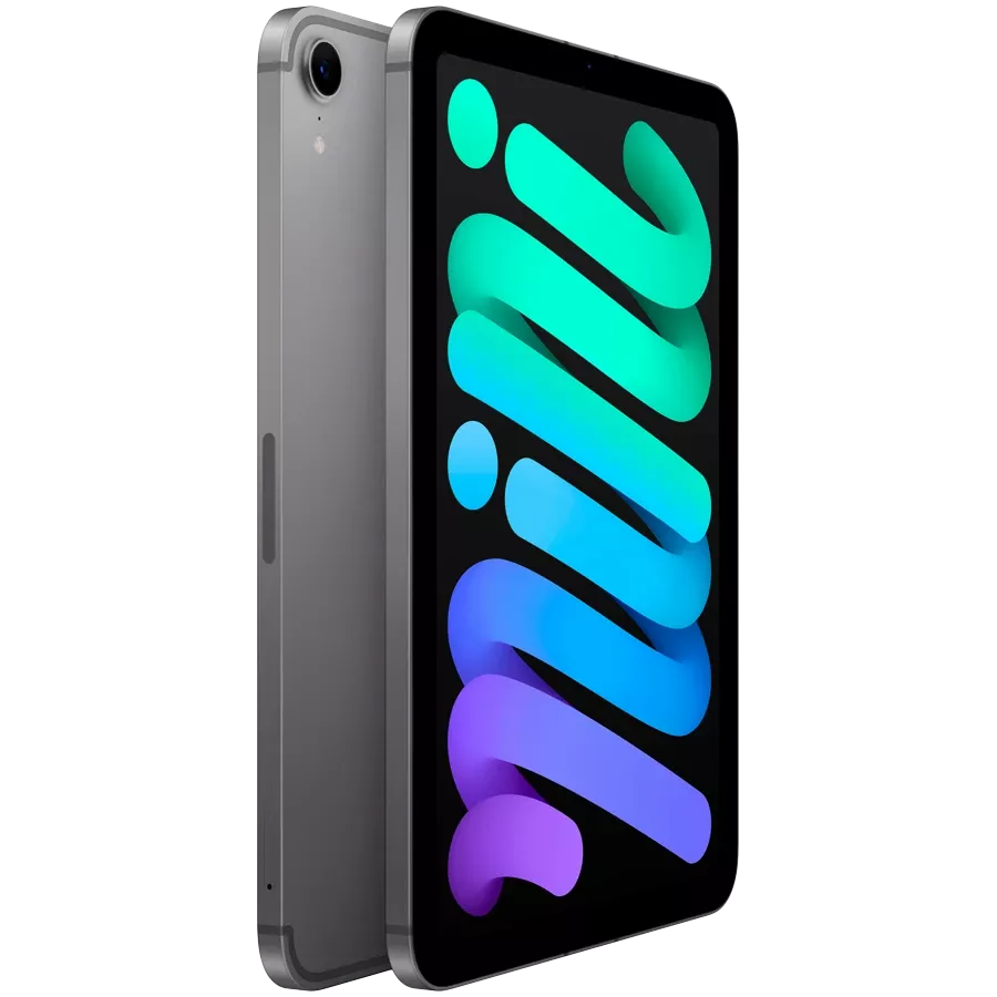 iPad mini (A17 Pro), 256 GB, Wi-Fi+4G, Space Gray — სურათი №3