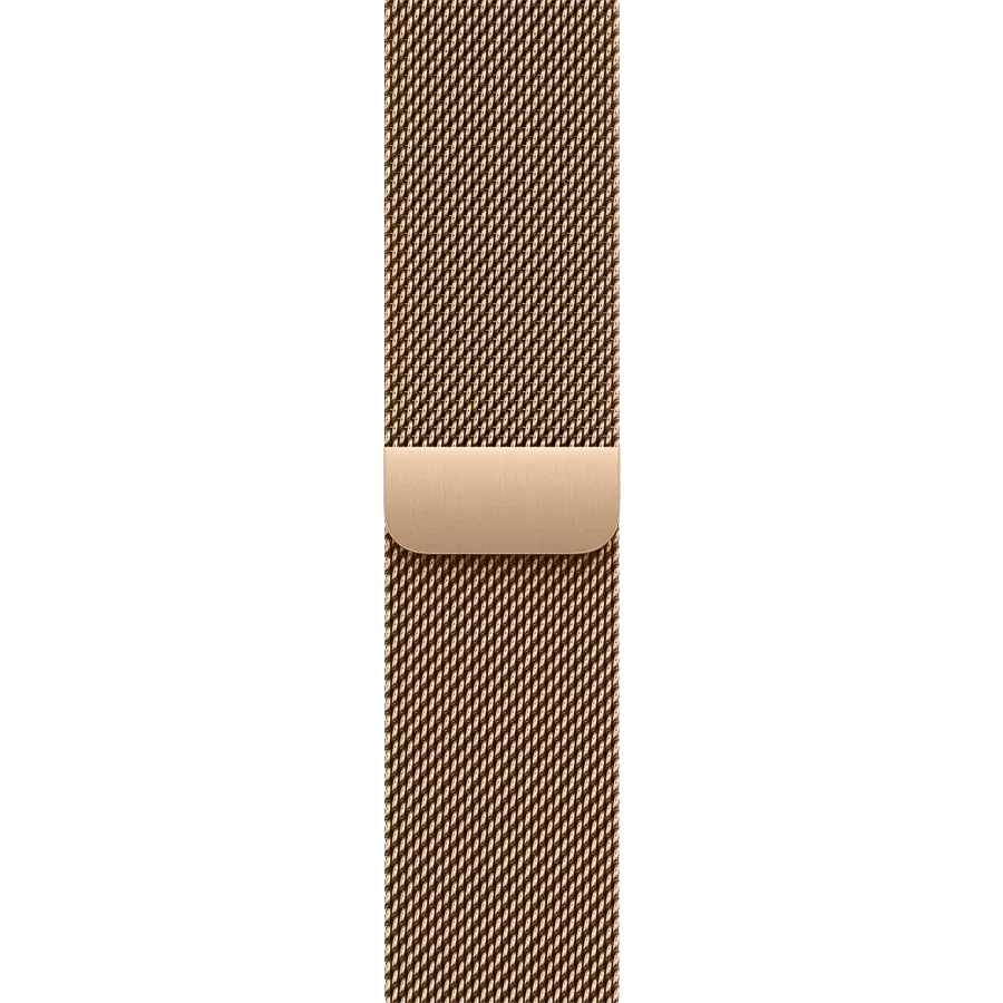 APPLE 42mm Milanese Loop Band Milanese Loop Gold for Apple Watch 42 mm — Image №1