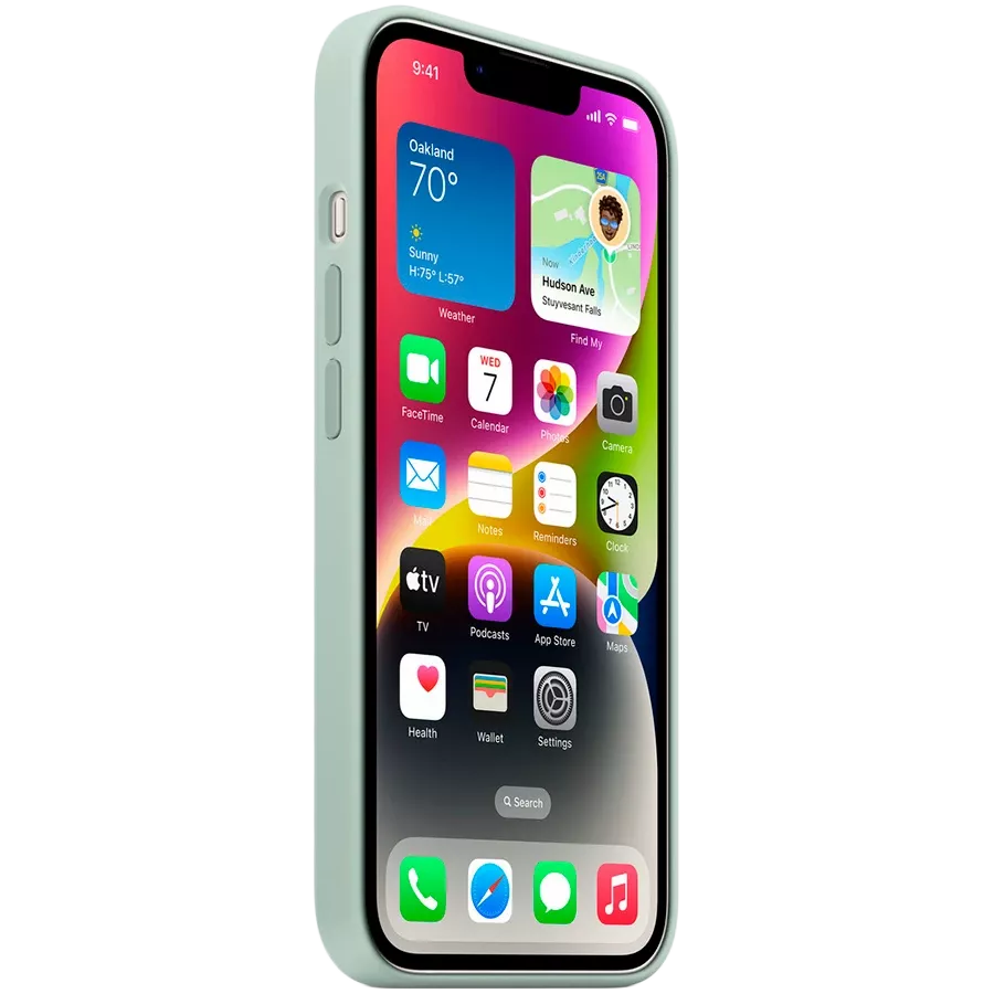 APPLE Silicone Case with MagSafe Succulent for iPhone 14 — Image №3