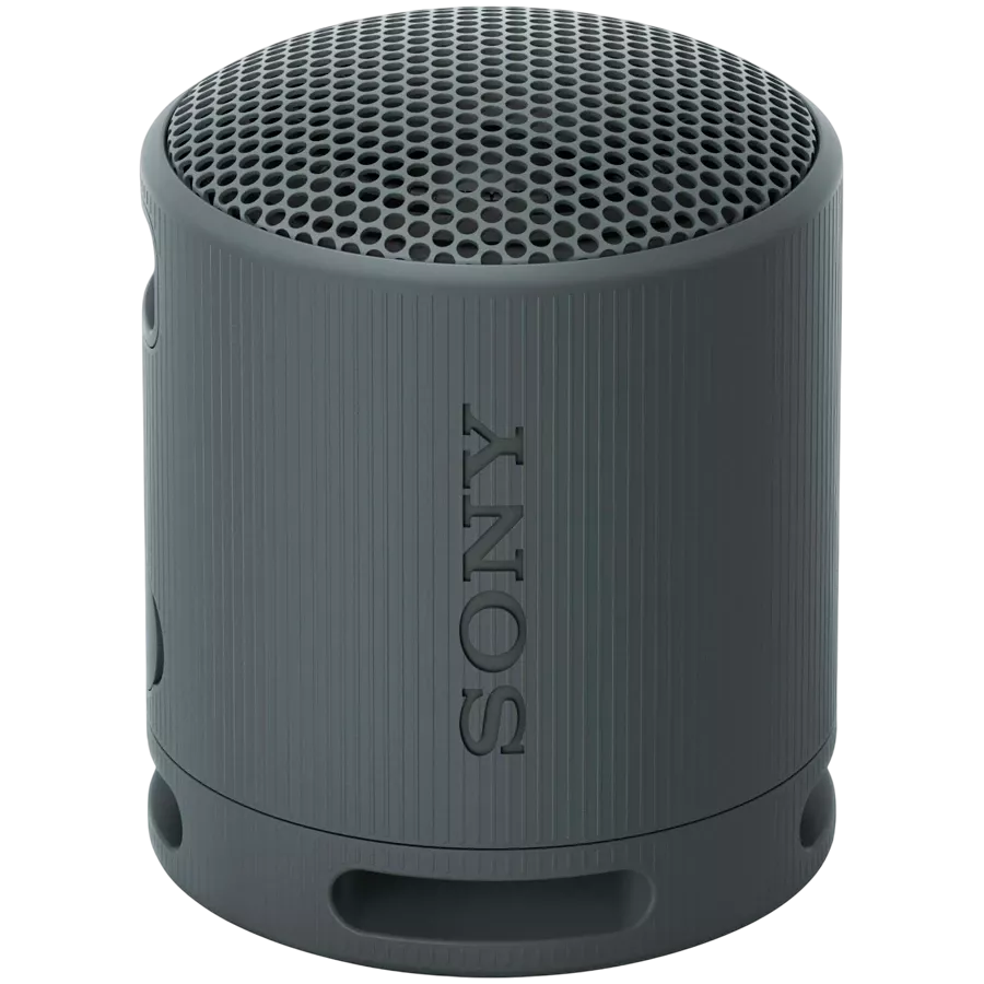 SONY SRS-XB100 Portable Speaker, Black — Image №1