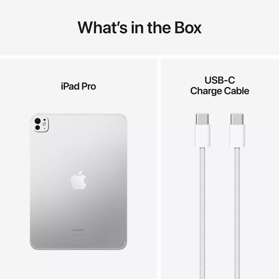 iPad Pro 11 M4, 2 TB Wi-Fi+4G Standard glass 2024, Silver — Image №9