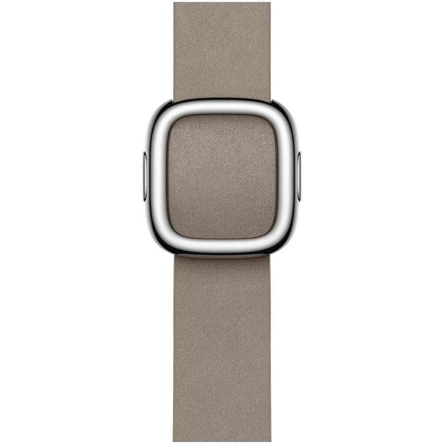 APPLE 41 Modern Buckle Modern Buckle Apple Watch 38 40 41 mm MUHF3ZM A iSpace