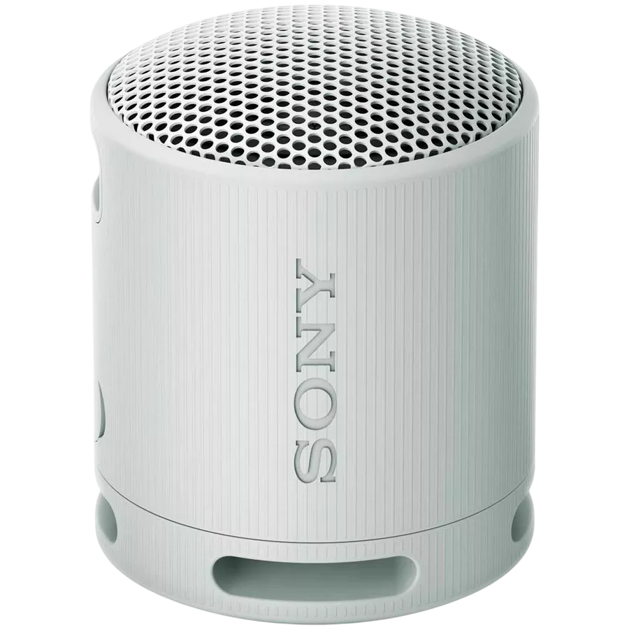 SONY SRS-XB100 Portable Speaker, Light Gray — Image №1