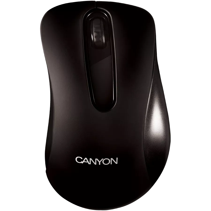 Mouse CANYON CNE-CMS2 — Image №2