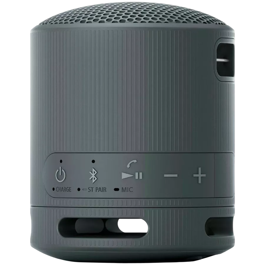 SONY SRS-XB100 Portable Speaker, Black — Image №3