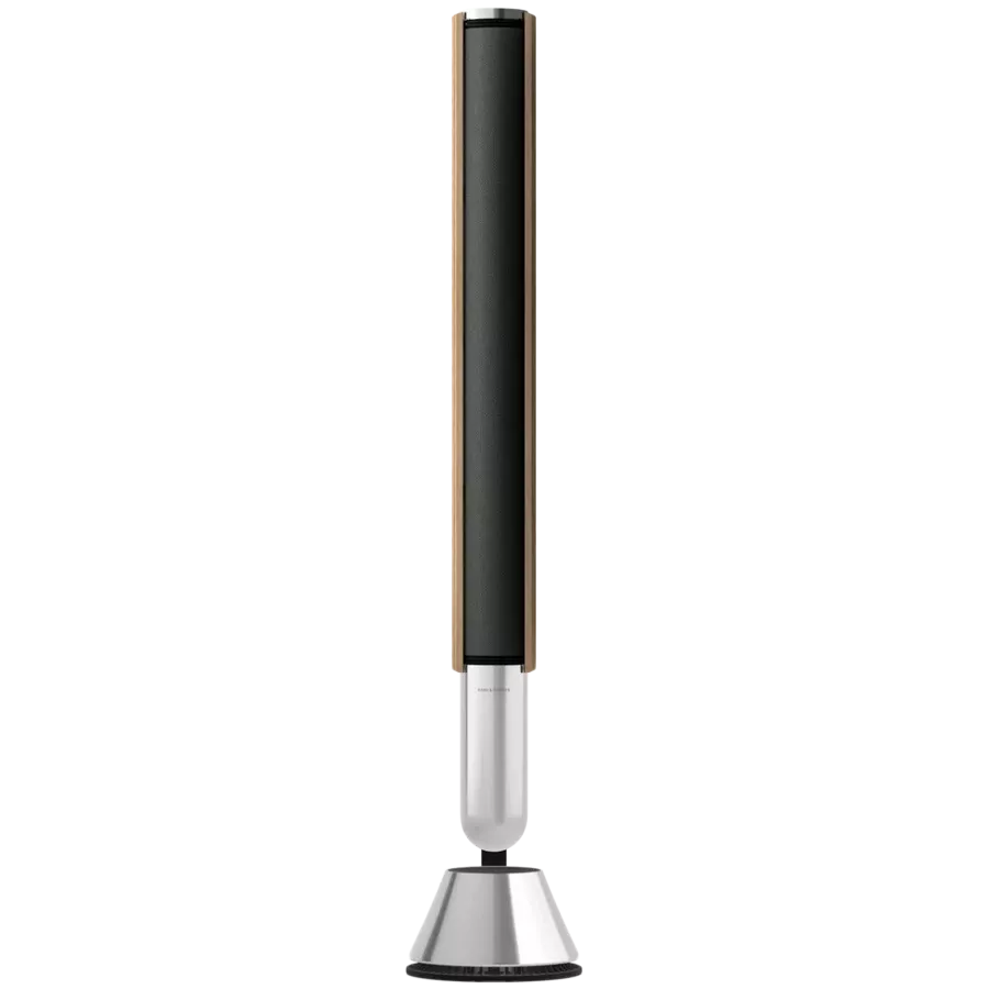 BANG & OLUFSEN Beolab 28 Σύστημα AV Ασημί/γκρι — Εικών №1