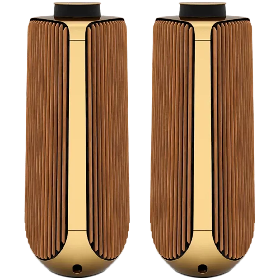 BANG & OLUFSEN Beolab 50 Audio System Brass — Image №1