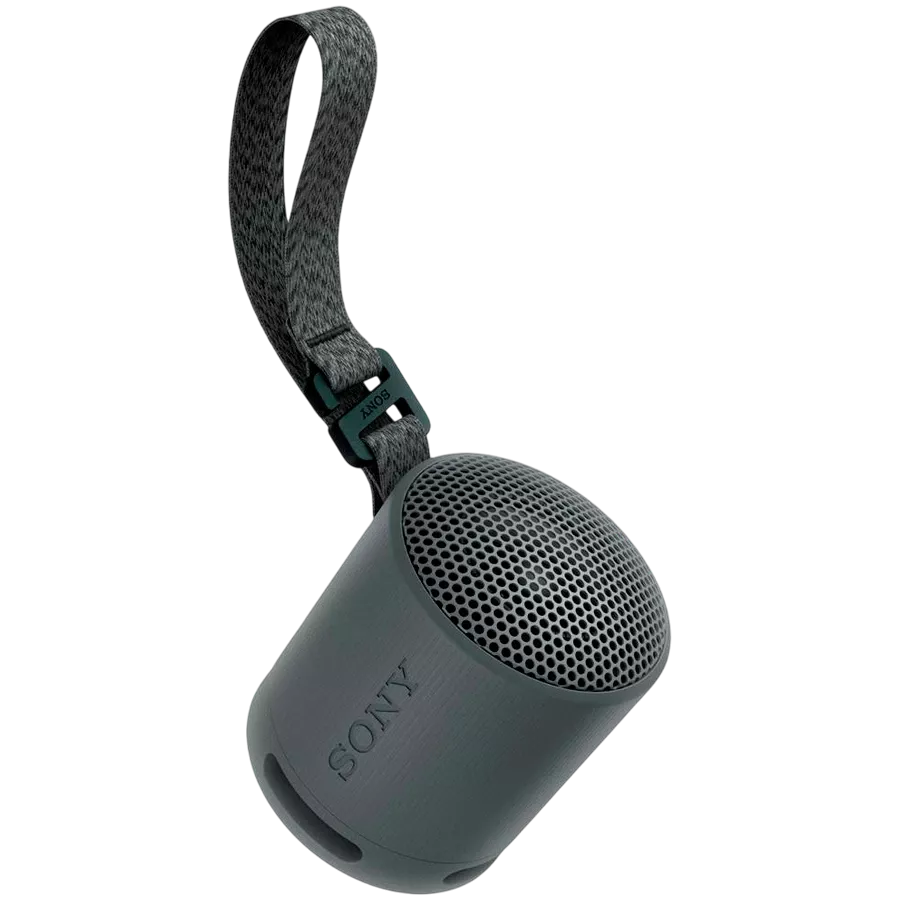 SONY SRS-XB100 Portable Speaker, Black — Image №5