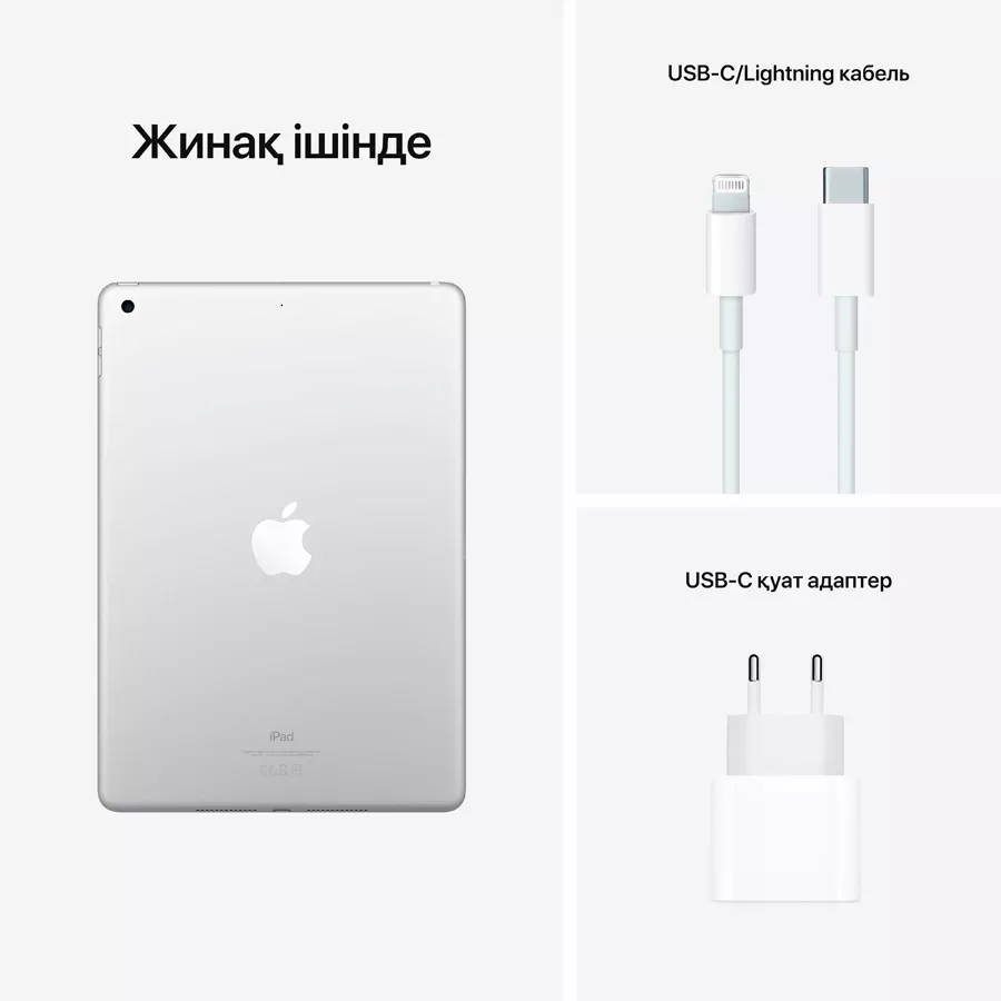 iPad 10.2 9 Gen, 256 ГБ Wi-Fi 2021, Күміс — image №6