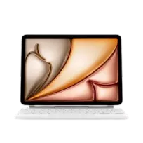 Accesorii iPad